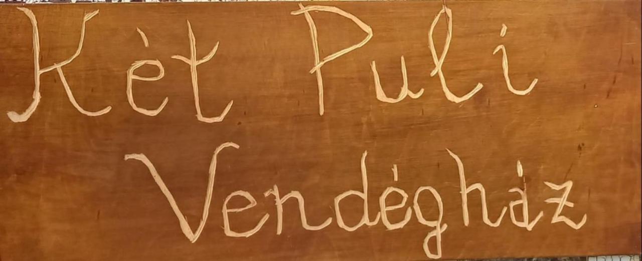 Ket Puli Vendeghaz Lägenhet Bekescsaba Exteriör bild