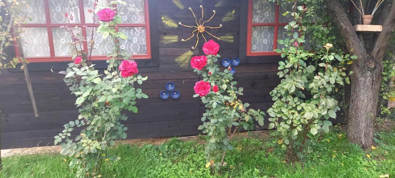 Ket Puli Vendeghaz Lägenhet Bekescsaba Exteriör bild