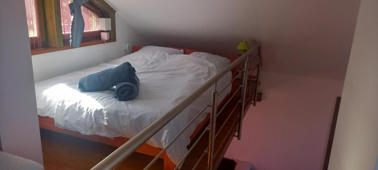 Ket Puli Vendeghaz Lägenhet Bekescsaba Exteriör bild