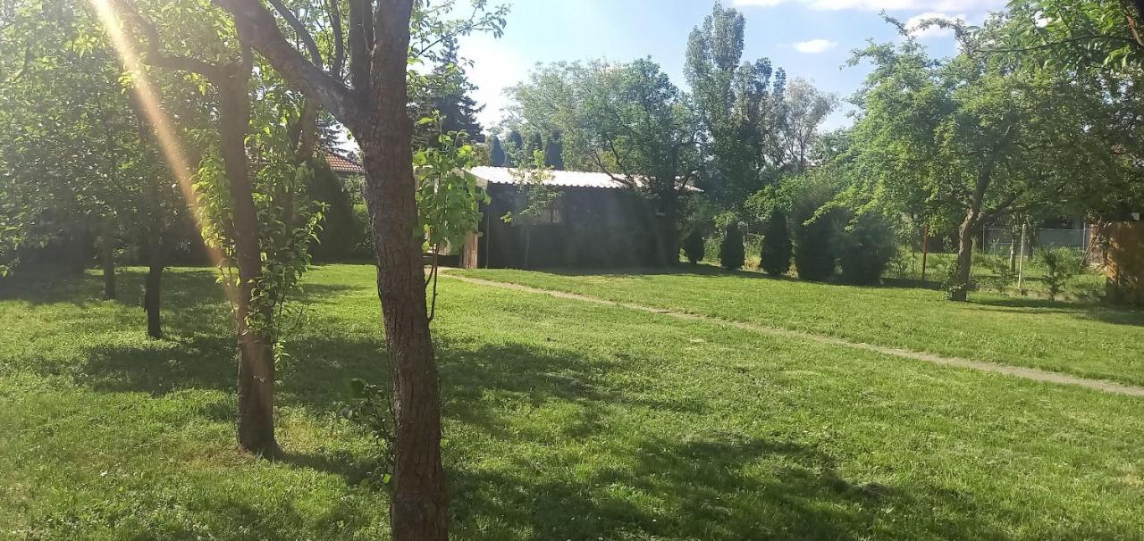 Ket Puli Vendeghaz Lägenhet Bekescsaba Exteriör bild