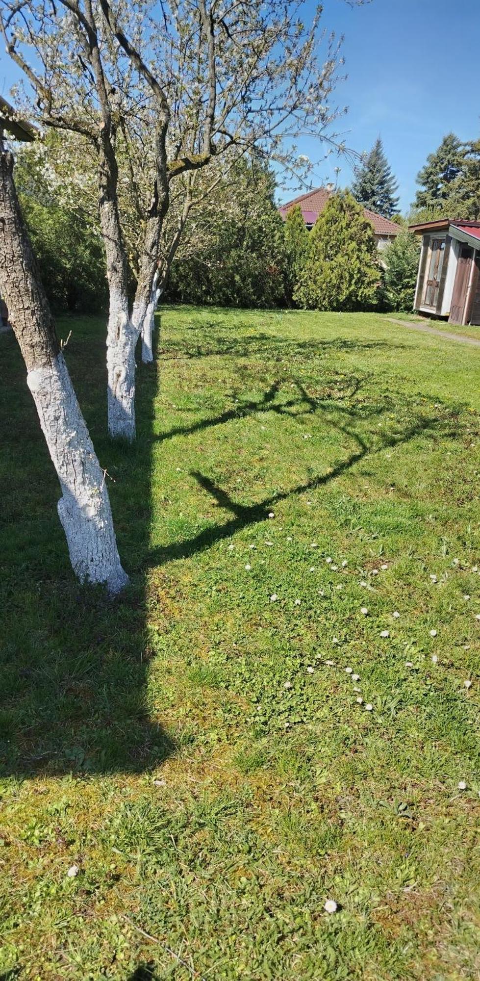 Ket Puli Vendeghaz Lägenhet Bekescsaba Exteriör bild